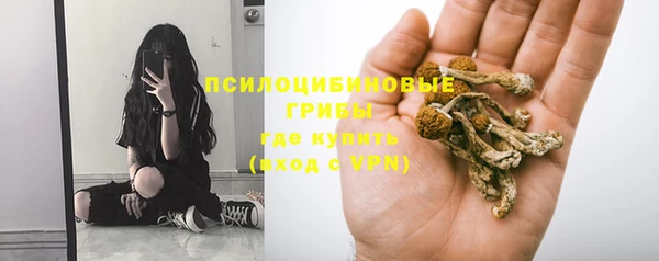 Альфа ПВП Михайловск