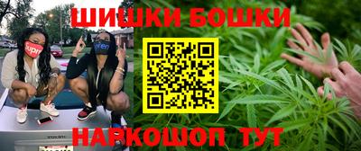 ешки Камышлов