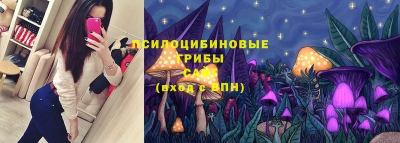 ссылка на мегу зеркало  Дюртюли  Галлюциногенные грибы Magic Shrooms 