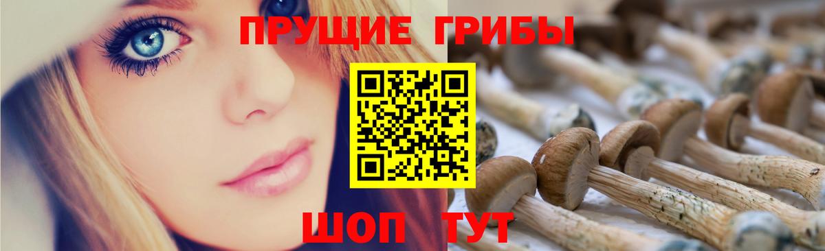Галлюциногенные грибы мухоморы Дюртюли